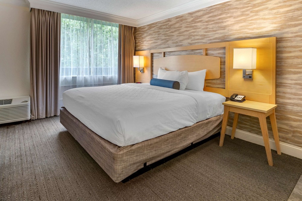 Suite, 1 King Bed, Non Smoking, Jetted Tub photo 2