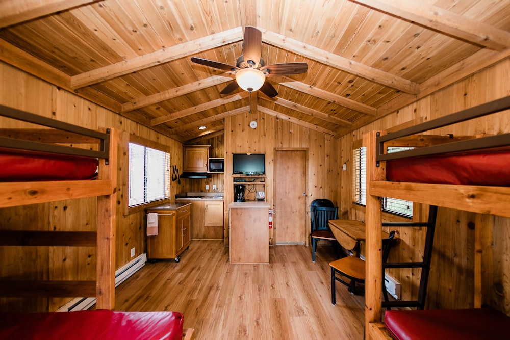 Deluxe Cabin photo 3
