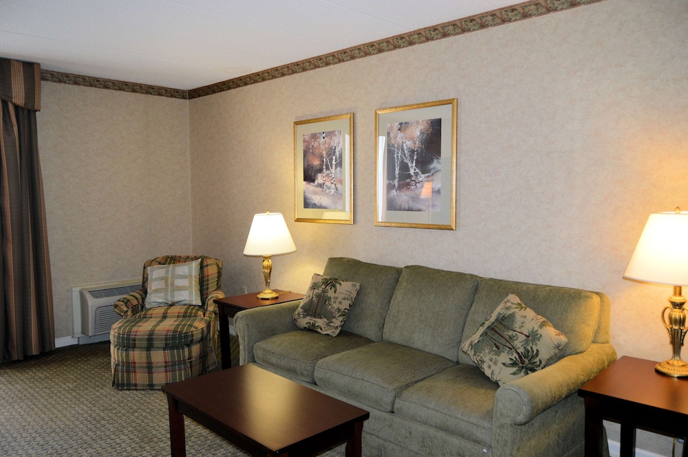 Suite, 1 King Bed, Non Smoking, Kitchenette (with Sofabed) photo 2