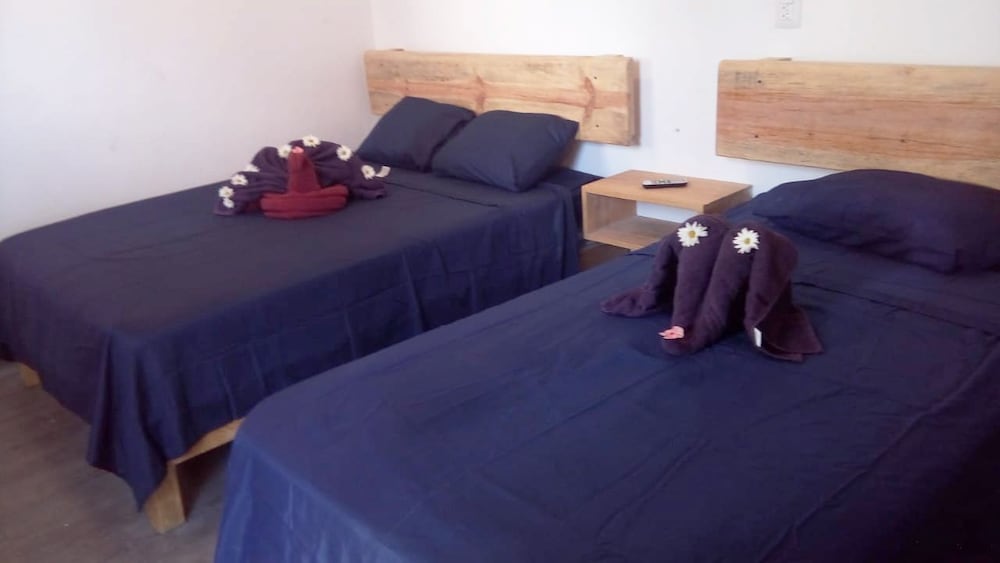 Basic Room, Multiple Beds, Garden View photo 1