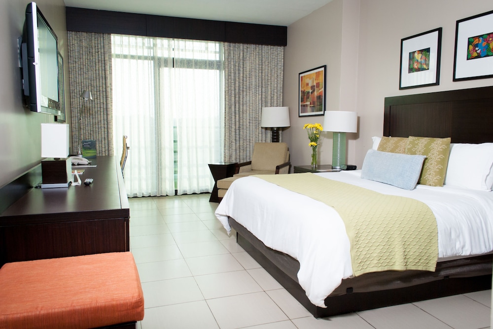 Deluxe King Room - Photo 5