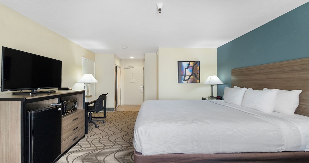 Standard Room, 1 King Bed, Non Smoking, Refrigerator- Pool View - Photo 2