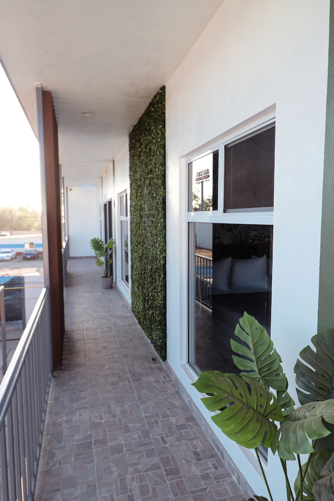 Deluxe Studio Suite photo 2