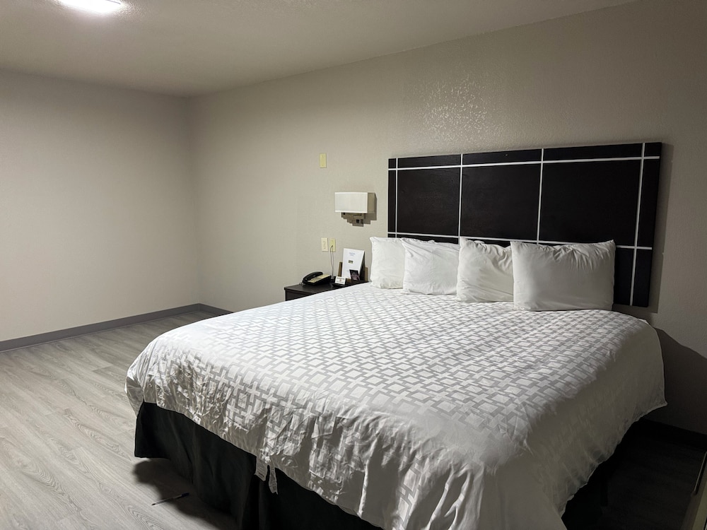 Room, 1 King Bed photo 3