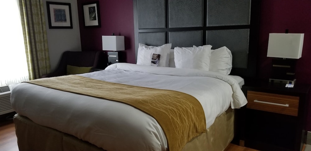Standard Room, 1 King Bed, Non Smoking photo 1