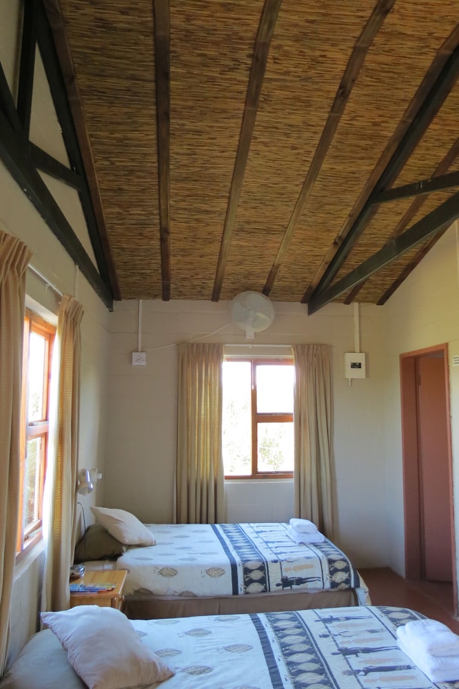 Comfort Twin Room photo 2