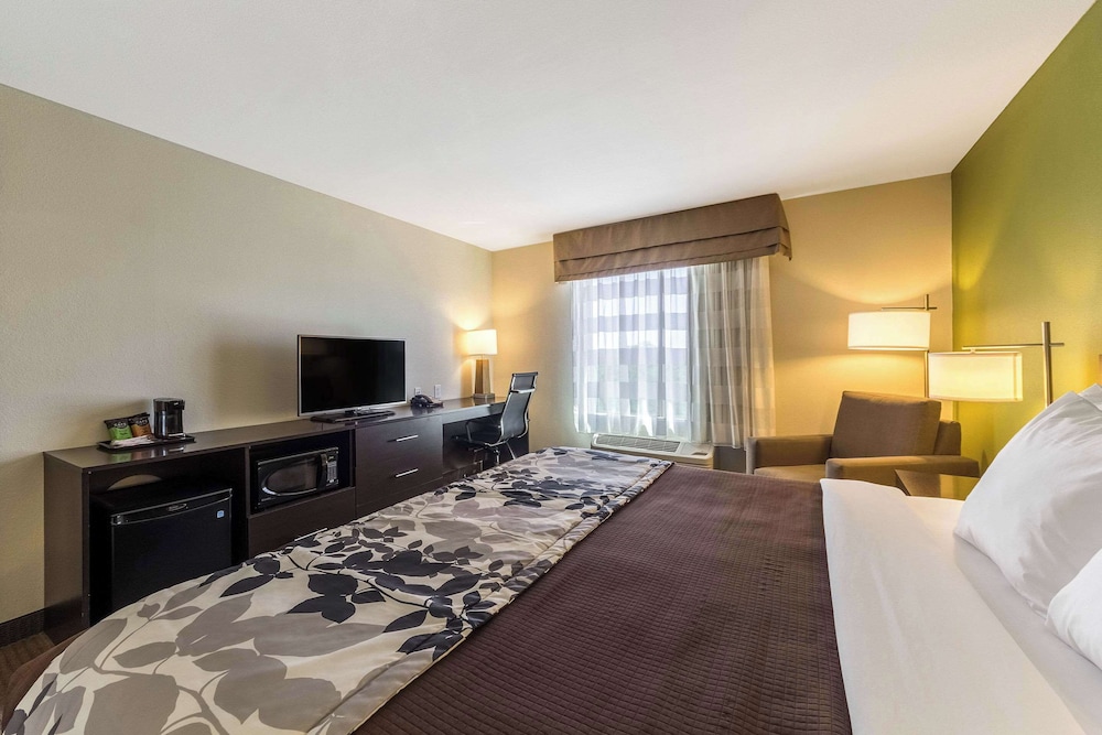Standard Room, 1 King Bed, Non Smoking
