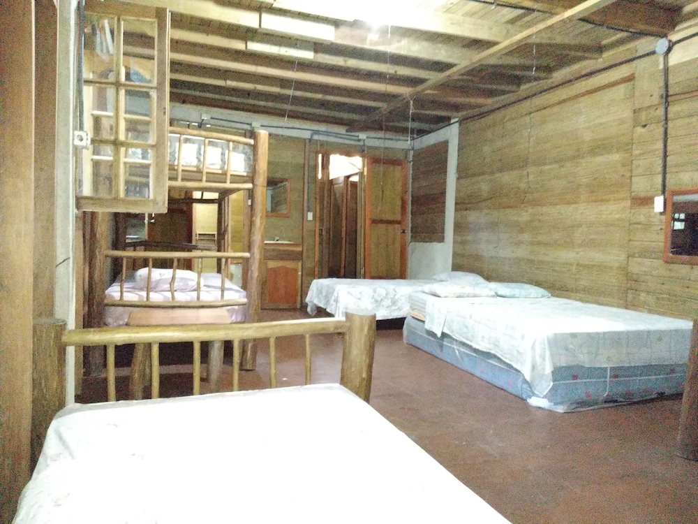 Basic Shared Dormitory photo 2