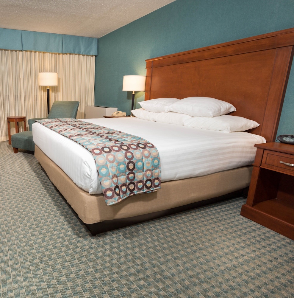 Deluxe Room, 1 King Bed with Sofa bed, Refrigerator & Microwave photo 2