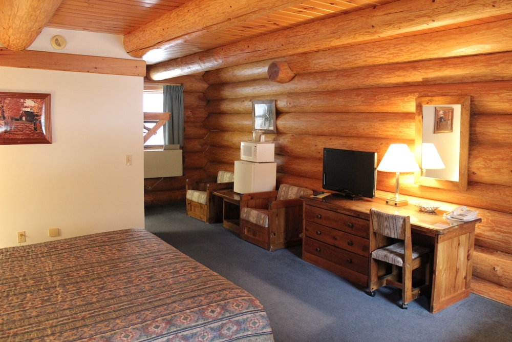 Log Room 1 King (Deluxe w/Sleeper Sofa) photo 2