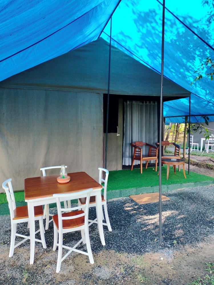 Luxury Tent, Lake View, Lakeside photo 3