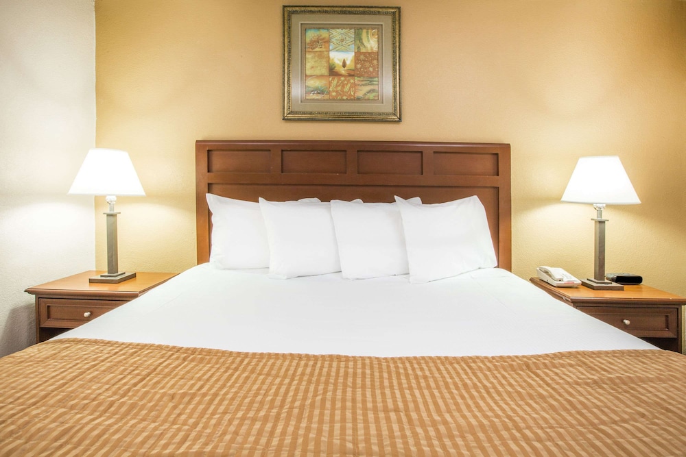 Standard Room, 1 King Bed photo 3