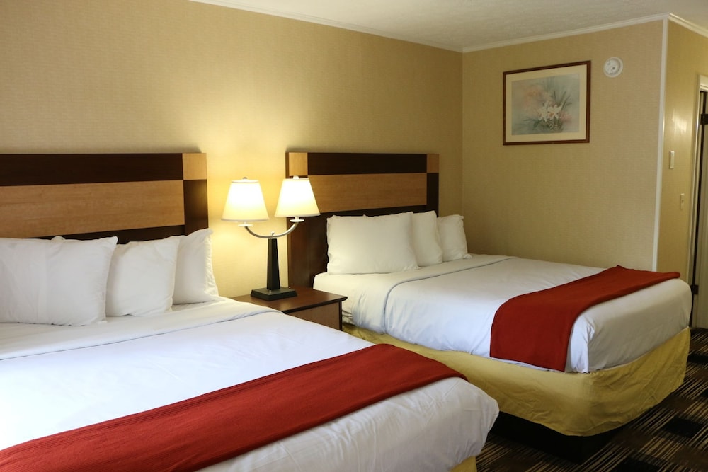 Standard Room, 2 Double Beds, Non Smoking