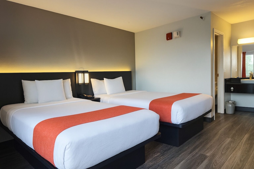 Standard Room, 2 Double Beds, Non Smoking photo 1