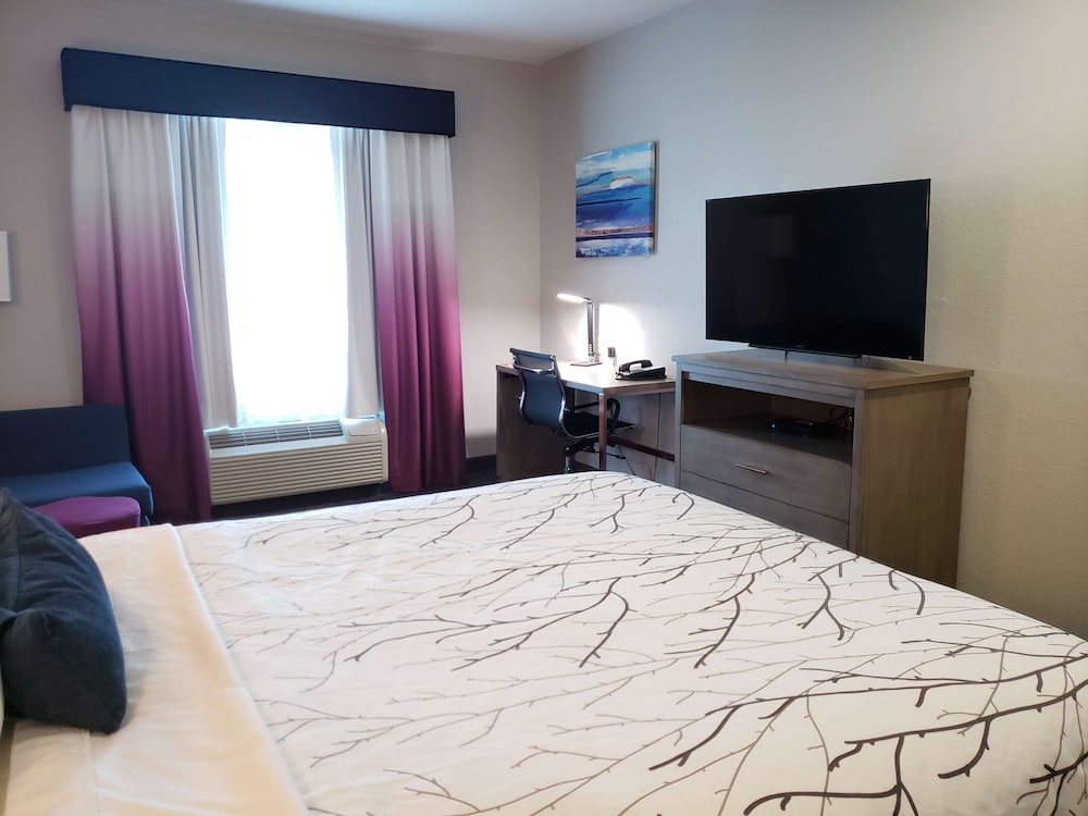 Standard Room, 1 King Bed, Accessible, Bathtub