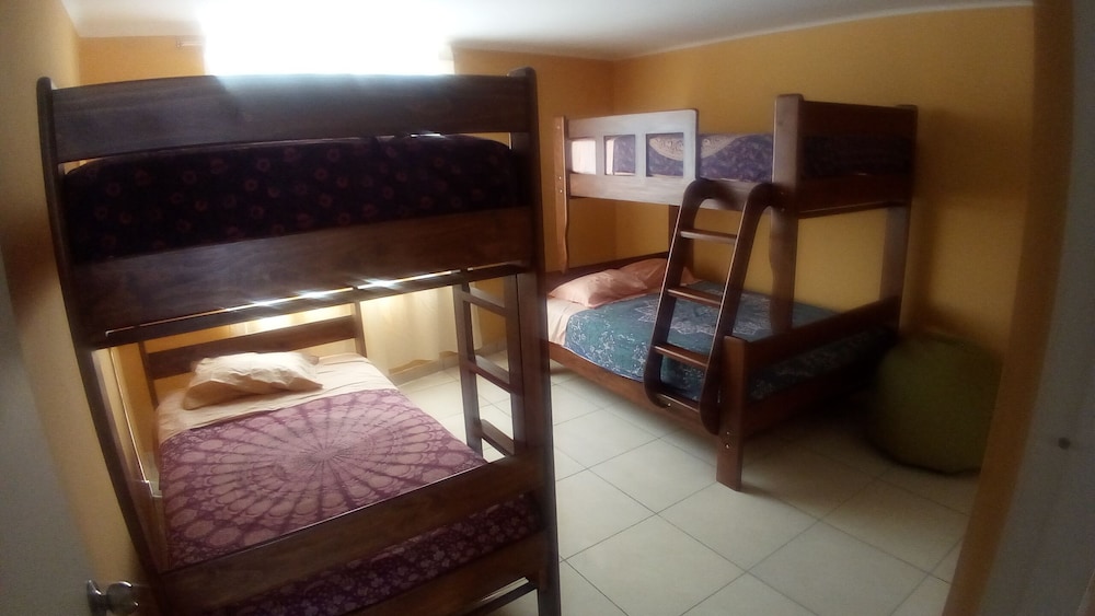 Standard Shared Room, 4 Beds Private Bathroom photo 2