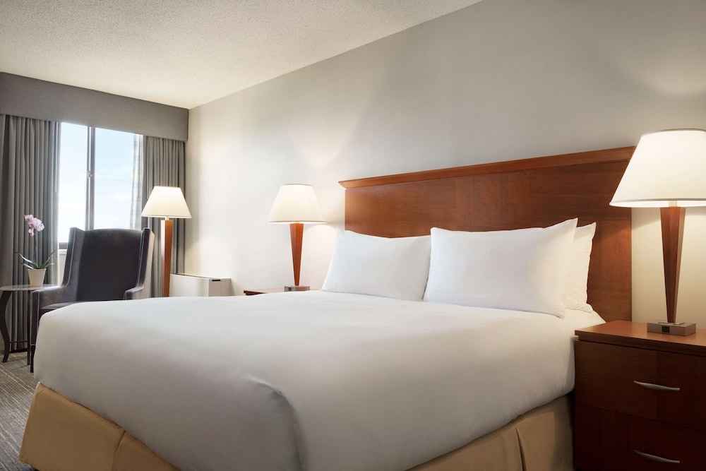 King, Executive Room photo 1