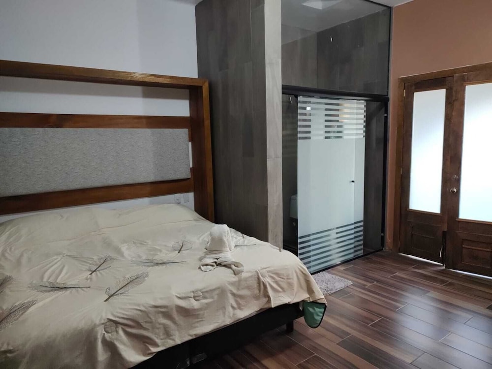 Classic Room, 1 King Bed, Patio, Park View photo 1