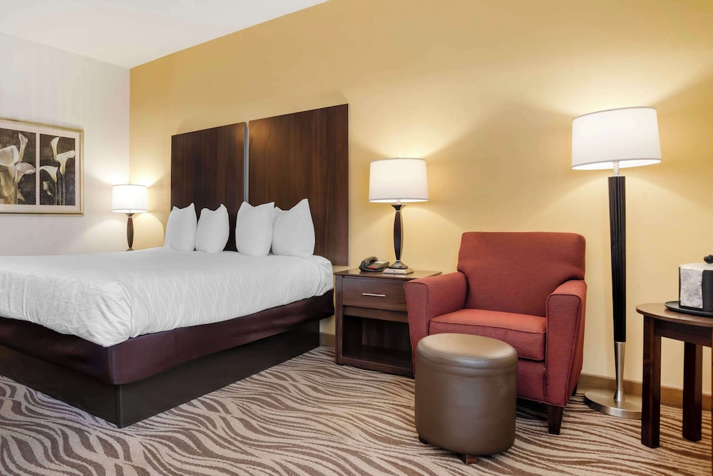 Standard Room, 1 King Bed, Accessible, Non Smoking photo 3