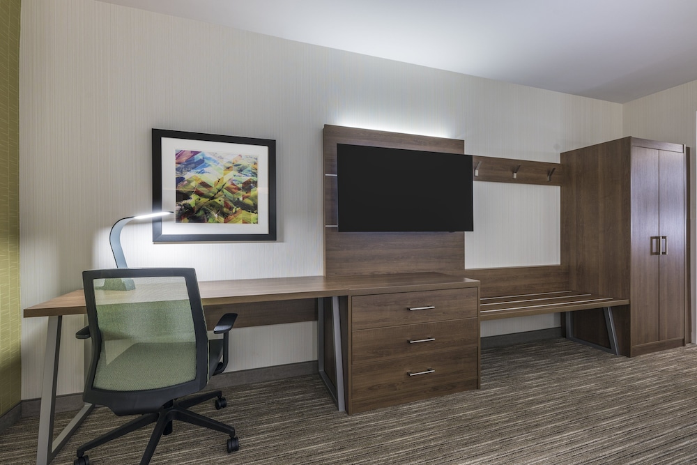 Suite, 1 King Bed with Sofa bed
