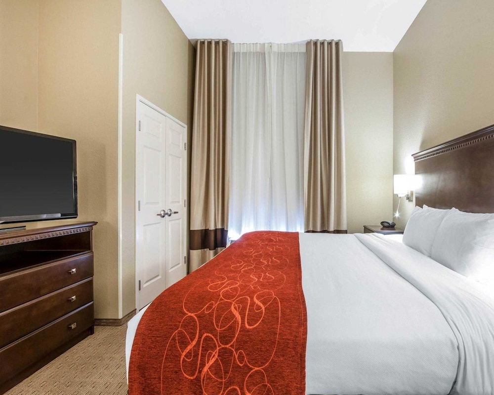 Executive Suite, 1 King Bed with Sofa bed, Non Smoking