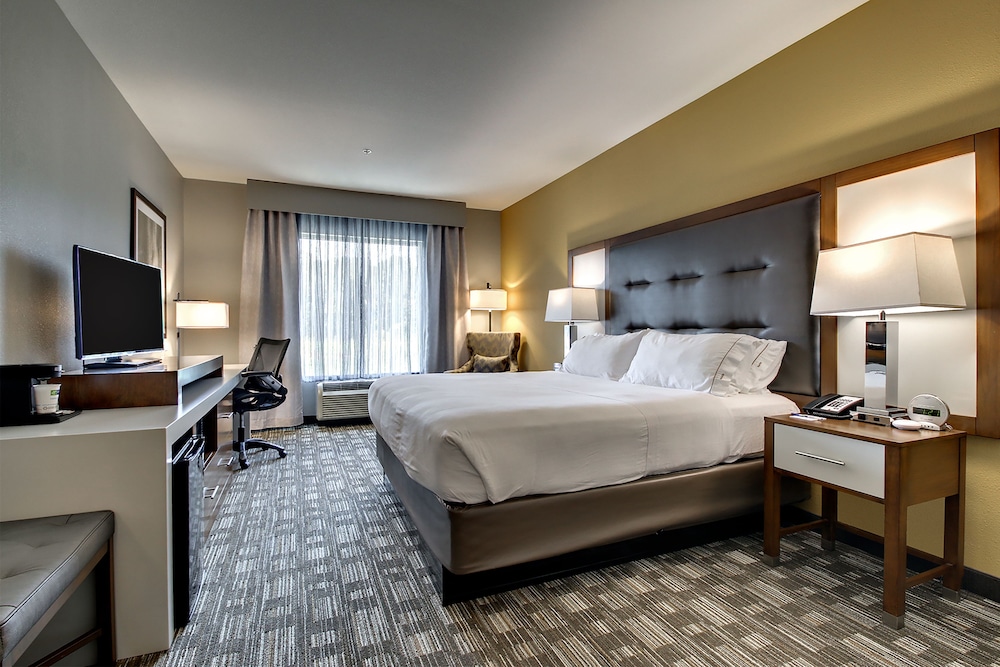 Executive Room, 1 King Bed, Non Smoking photo 2