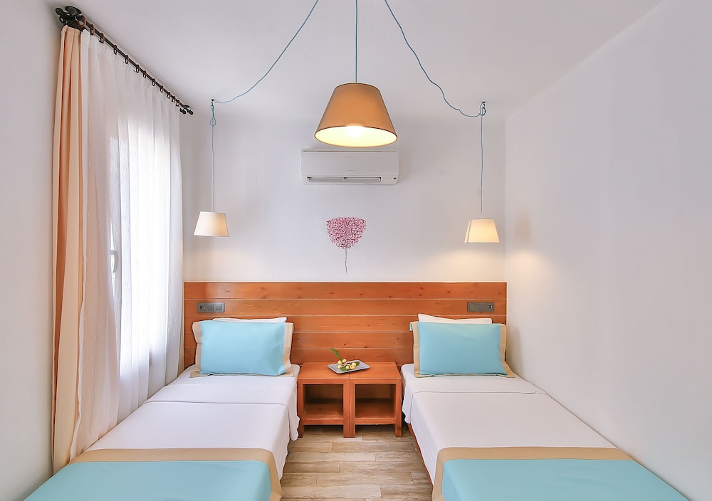 Economy Twin Room photo 2
