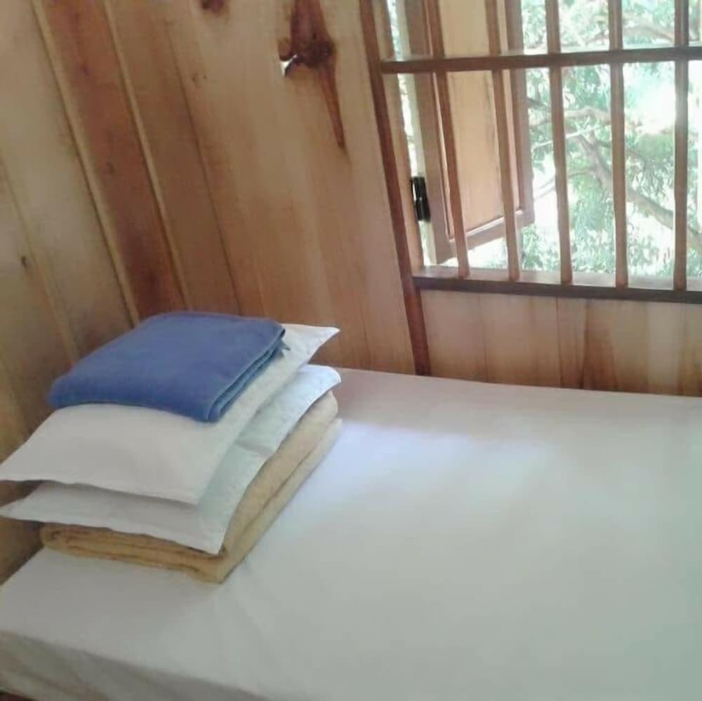 Bed in 12-Bed Mixed Dormitory photo 1