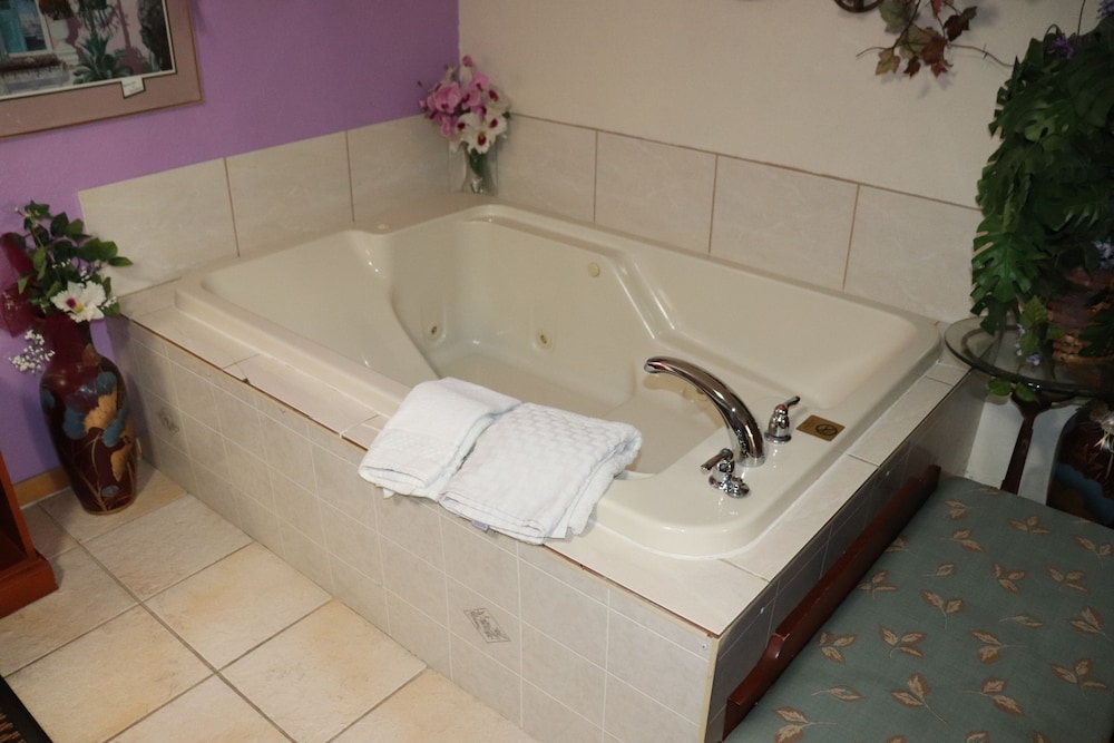 Basic Suite, 1 King Bed photo 2
