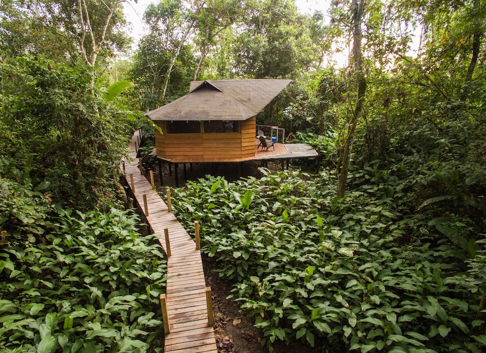 Family Cabin, Non Smoking photo 2