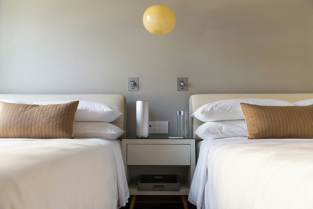 Studio, 2 Double Beds photo 2