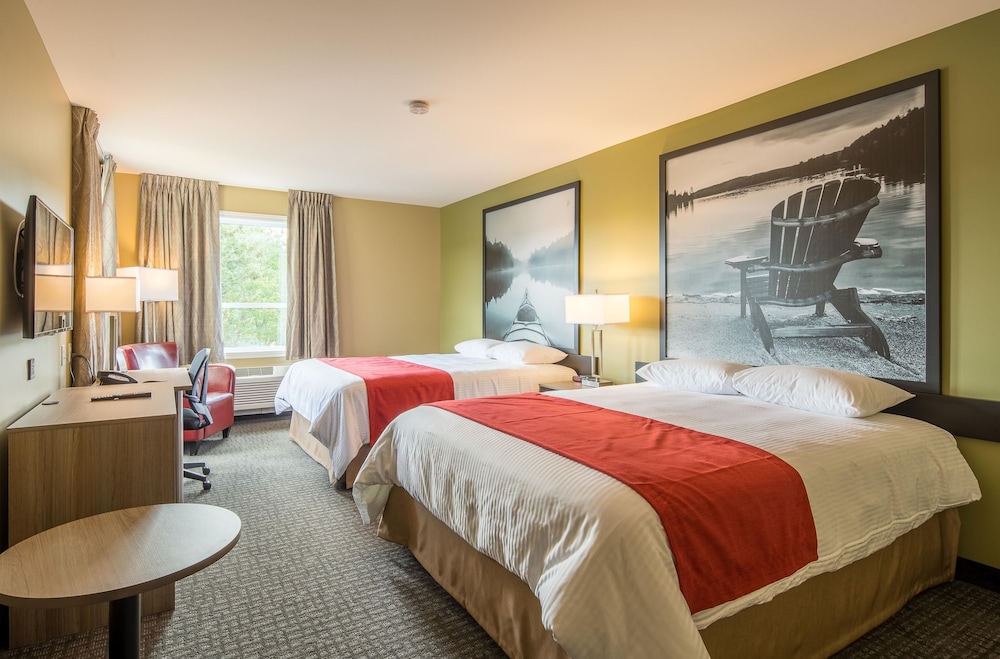 Standard Room, 2 Queen Beds, Non Smoking photo 1