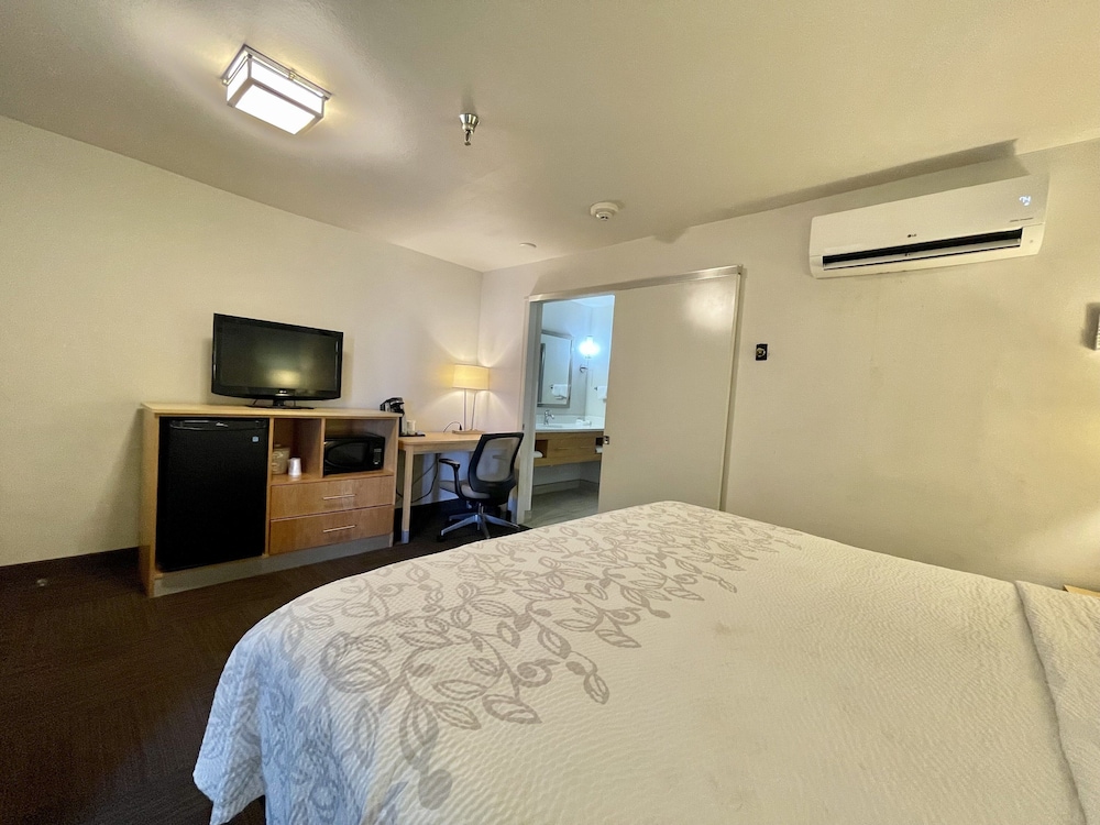 Superior Suite, 1 King Bed (Smoke Free) - Photo 3