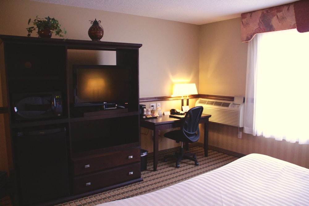 Standard Room, 1 King Bed, Microwave photo 3