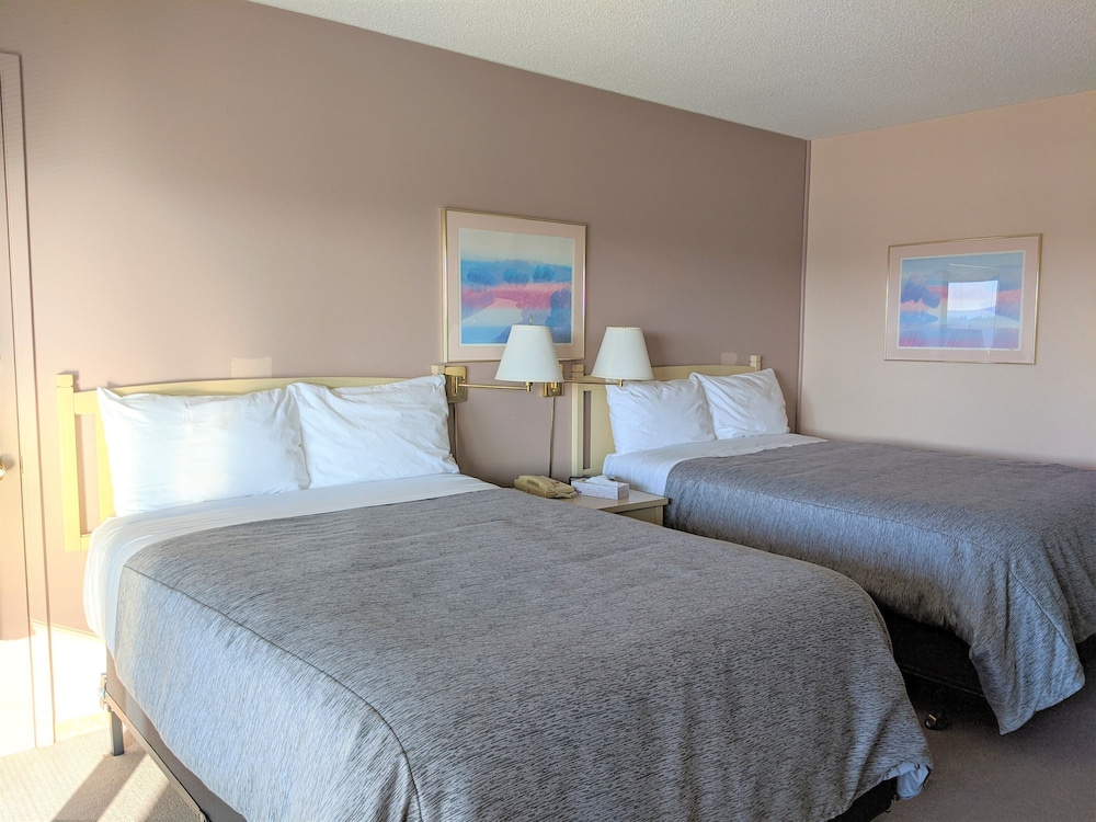 Deluxe Two Queen Room photo 3