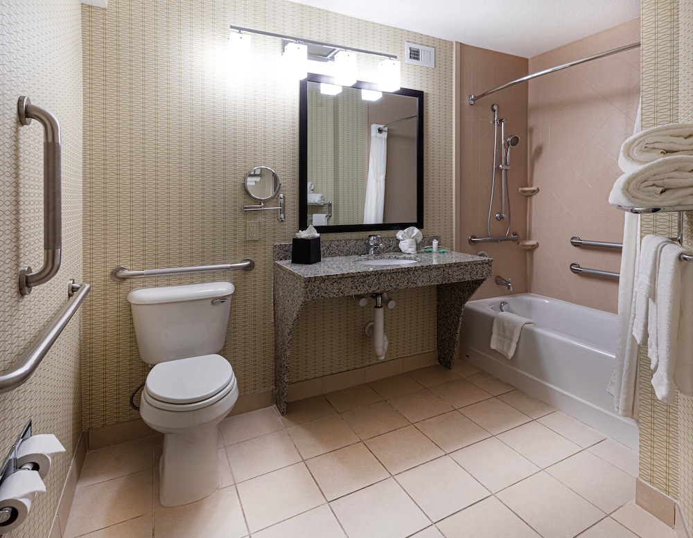 Suite, 1 Bedroom, Accessible (Communications, Accessible Tub) - Photo 10