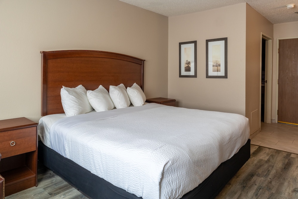 Room, 1 King Bed with Sofa bed, Accessible (Accessible One King Bed and Sofa Slee) photo 2