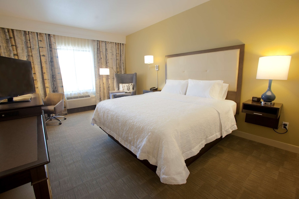Room, 1 King Bed, Accessible, Non Smoking photo 3