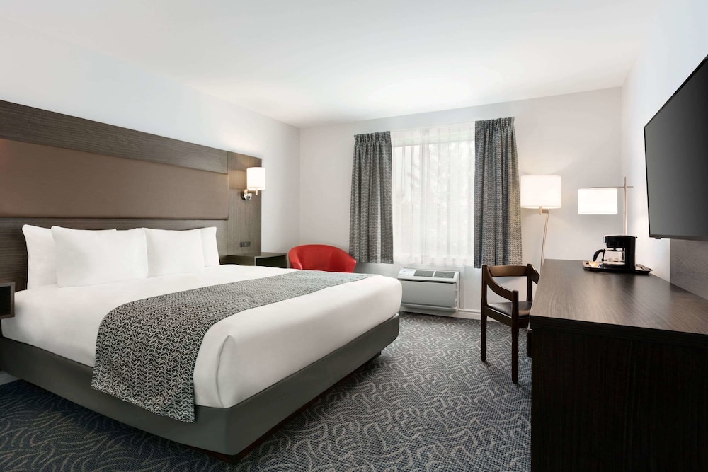 Room, 1 King Bed, Non Smoking (No Pets)