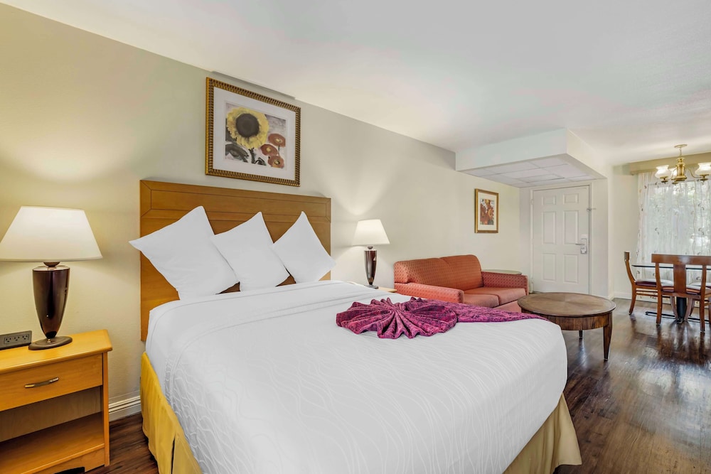 Suite, Multiple Beds, Non Smoking, Kitchen (with Sofabed, Full Kitchen) - Photo 2