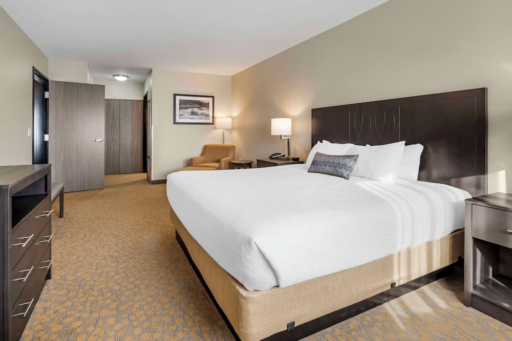 Standard Room, 1 King Bed, Accessible, Refrigerator & Microwave - Photo 3