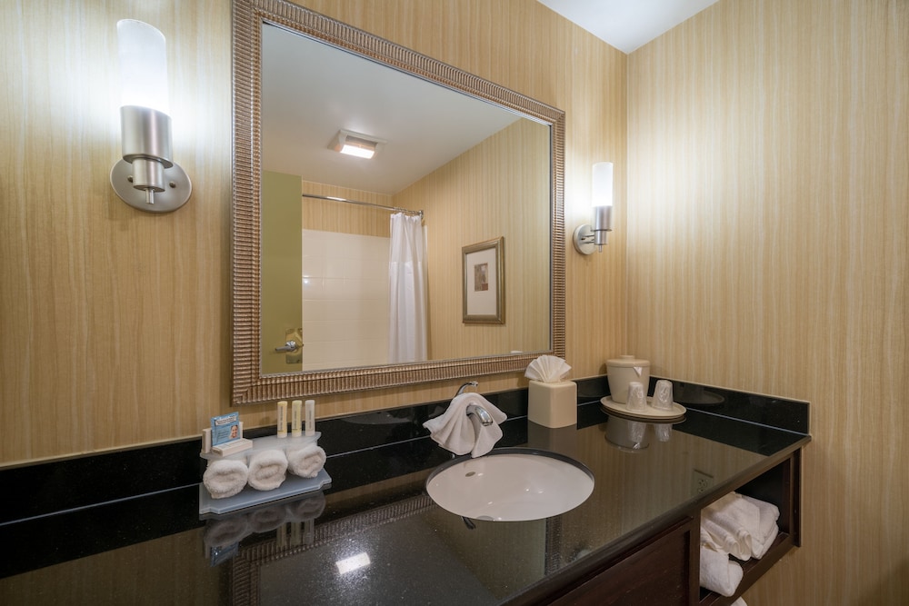 Deluxe Suite, 1 King Bed, Non Smoking, Refrigerator photo 3