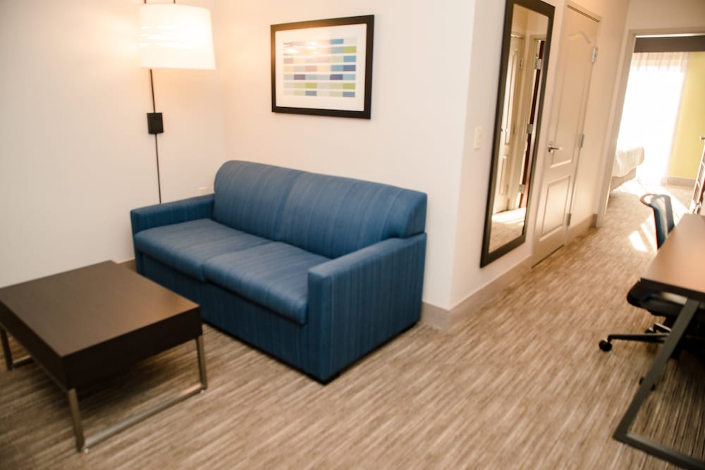 Suite, 1 King Bed with Sofa bed photo 2
