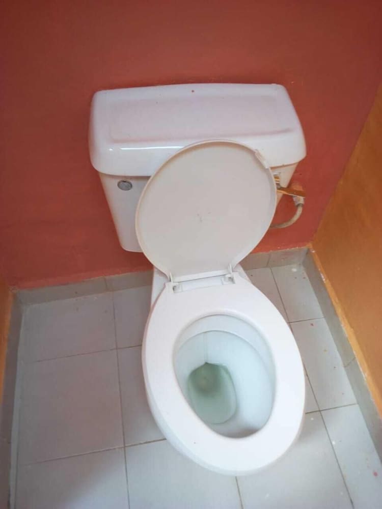 Comfort Room photo 2