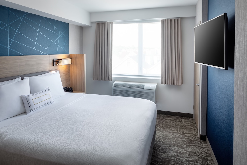 Studio Suite, 1 King Bed (Mobility/Hearing Access, Roll-In Shwr)