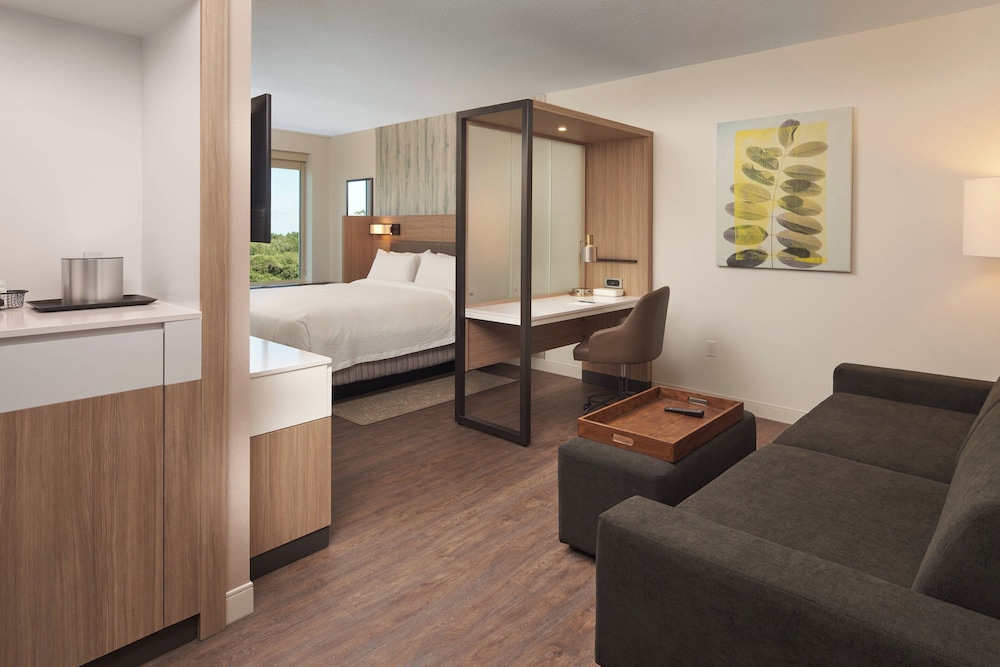 Suite, 1 King Bed (Mobility/Hearing Access, Roll-in Shwr)