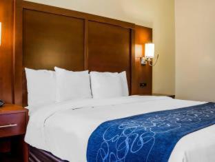 Queen Suite with Sofa Bed - Hearing Accessible photo 1