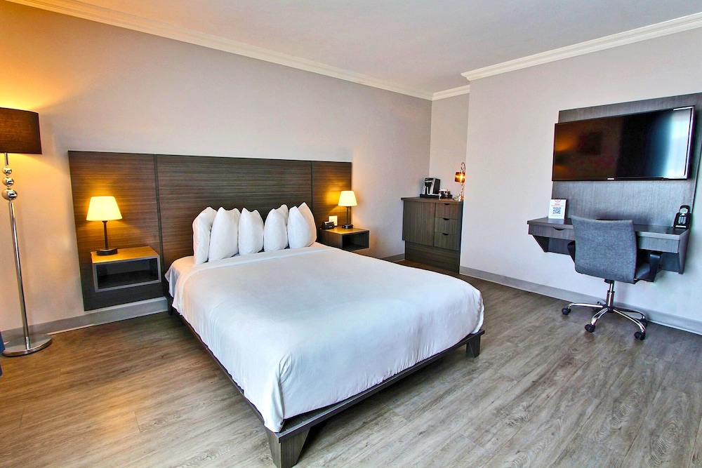 Superior Room, 1 Queen Bed with Sofa bed