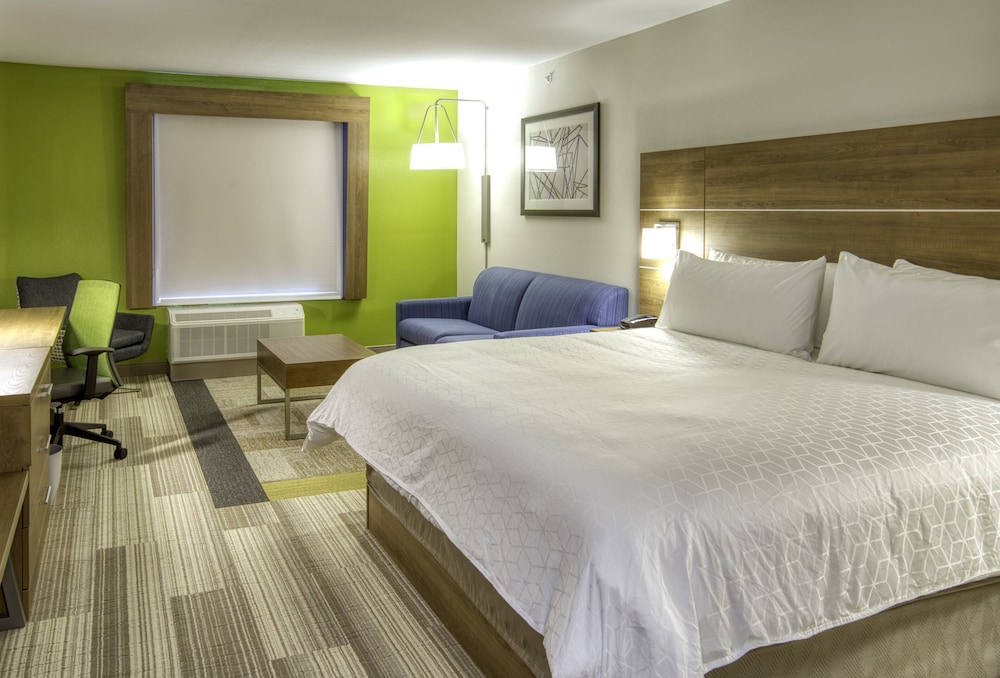 Suite, 1 King Bed photo 2
