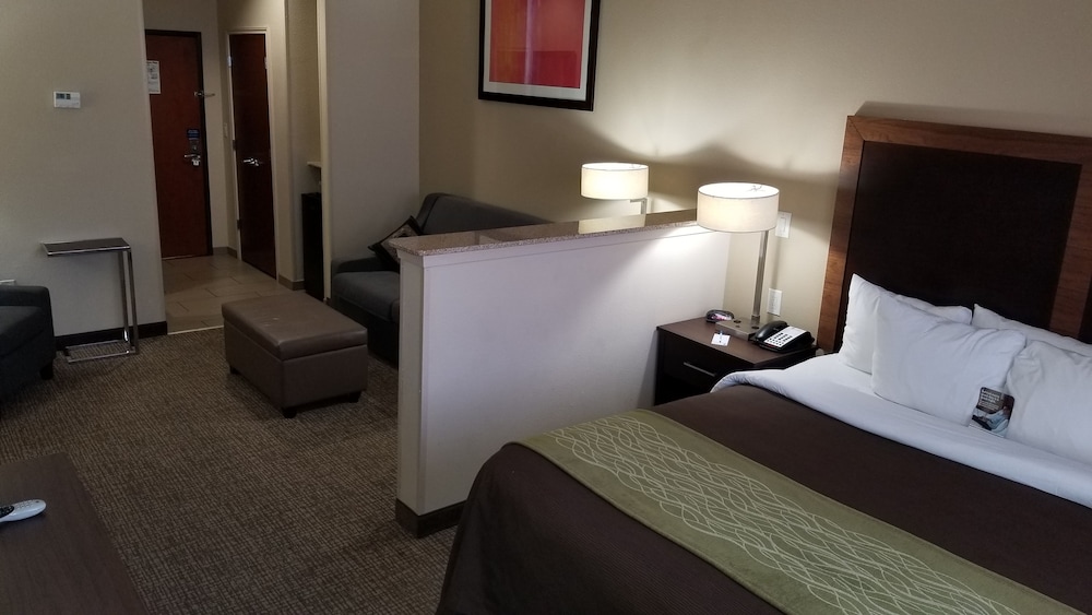 Suite, 1 King Bed with Sofa bed, Non Smoking photo 3